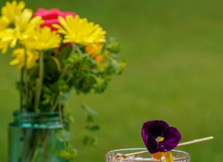 Rum Daisy Zaya Rum Rum Daisy Cocktail Recipe