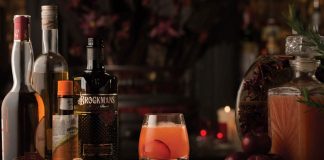 brockmans gin plum delicious cocktail recipe