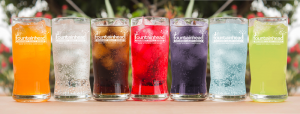Multi-Flow Beverage Solutions Fountainhead Soda
