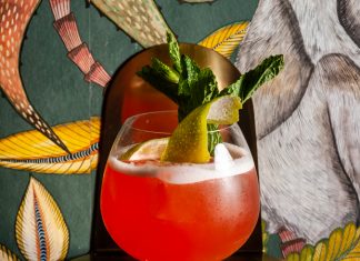 Ron Barceló A Jungle Full of Birds cocktail recipe