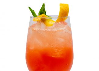 Autumn Blood Orange Bitter Monin Autumn Blood Orange Bitter cocktail recipe