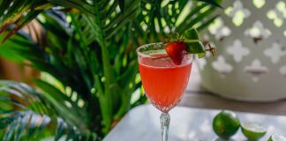 Seagram's Vodka Lime & Strawberry Drop Martini