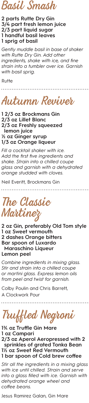 gin cocktail recipes