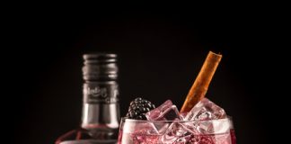 Puerto Strawberry & Blackberry Gin & Tonic cocktail recipe