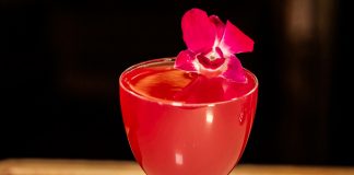 Hibisco Disco cocktail recipe