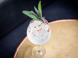 Monkey 47 Gin Summer Gintonica cocktail recipe