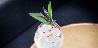 Monkey 47 Gin Summer Gintonica cocktail recipe