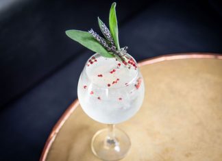 Spring Gintonica Monkey 47 Gin Summer Gintonica cocktail recipe