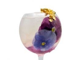 Puttin' on the Spritz cocktail recipe Monin