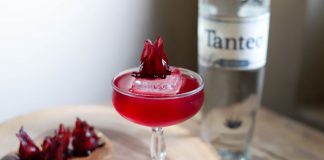 Tanteo Tequila Red Ruby Margarita cocktail recipe