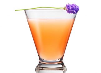 The T-Dot Double Cross Vodka the T-Dot cocktail recipe