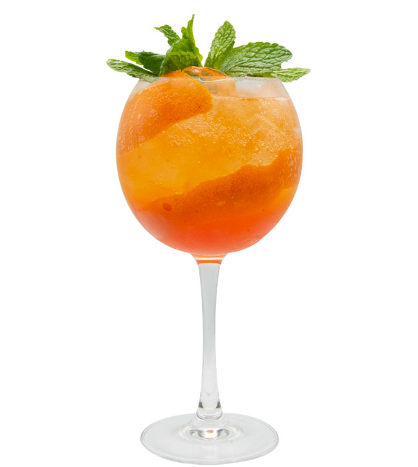 Classic Orange Spritz Bar Business