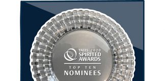 2020 spirited awards