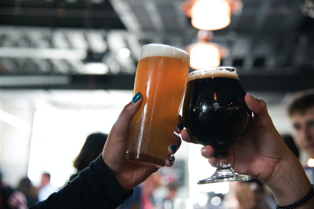 harpoon brewery beer drinking habits