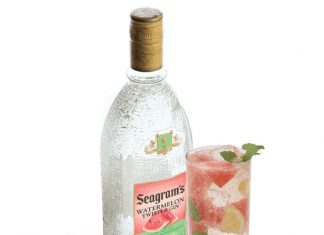 Seagram's Watermelon Twisted Gin