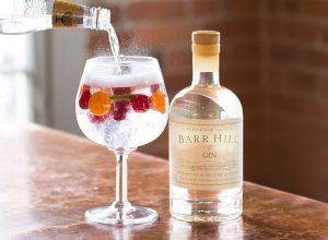 gin and tonic cocktail recipe world gin day