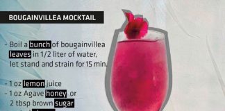 bougainvillea mocktail recipe The Cape