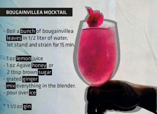 bougainvillea mocktail recipe The Cape
