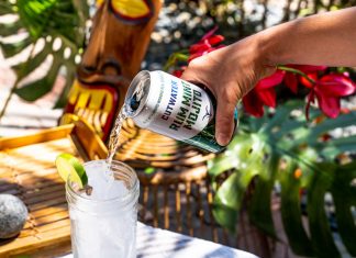 Cutwater’s Rum Mint Mojito canned cocktail