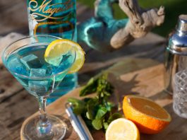 magellan gimlet gin recipes