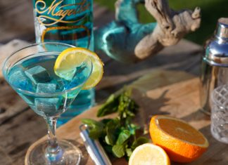 magellan gimlet gin recipes