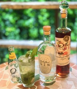 organic mixology gin recipe