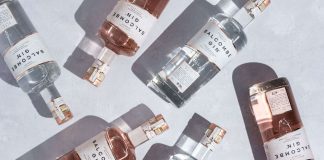 salcombe gin