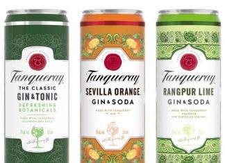 Tanqueray Crafted Gin Cocktails in a Can