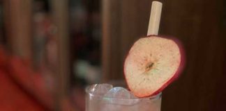 cranberry apple collins vegas baby vodka