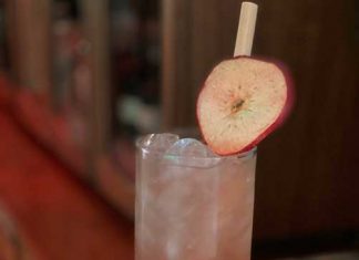 Cranberry Apple Collins cranberry apple collins vegas baby vodka