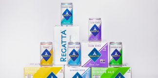 Regatta Craft Mixers Sleek Can