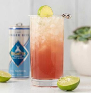 regatta craft mixers cocktail recipe