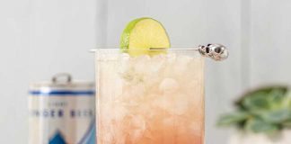 regatta craft mixers cocktail recipe