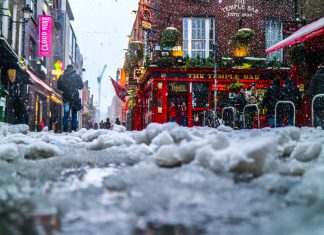 Winter and Beyond: Preparing for the Future winter bar