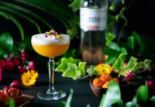 tanteo tequila margarita