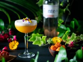 tanteo tequila margarita