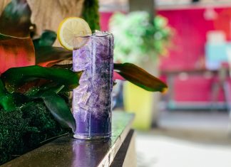 national cocktail day recipe