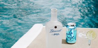 bluecoat gin hard seltzer