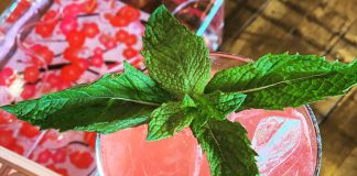 deviation distilling watermelon mint refresher