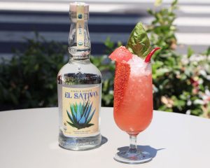 el sativo watermelon cocktail recipe