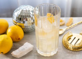 National Lemonade Day Cocktail Recipes lemonade cocktail recipe