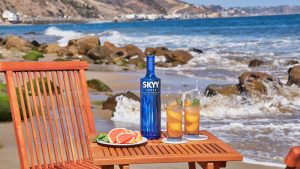 skyy vodka recipe