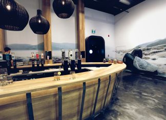 Stadaconé gin