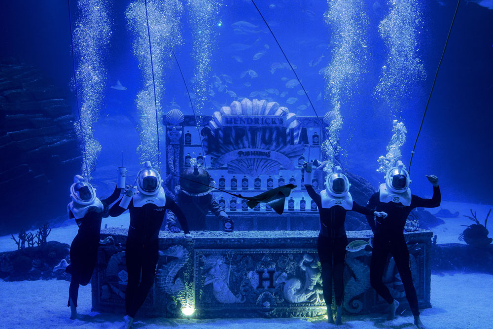 underwater bar hendrick's neptunia