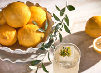 world cocktail day recipes