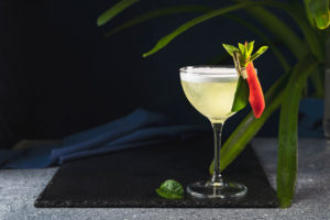gin summer cocktail