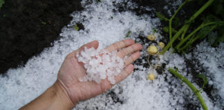 hail damage hail storm society insurance