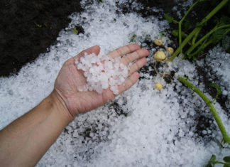 How Bars Can Protect Themselves Against the Costly Hail Season hail damage hail storm society insurance