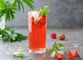 National Lemonade Day Recipes lemonade cocktail recipe