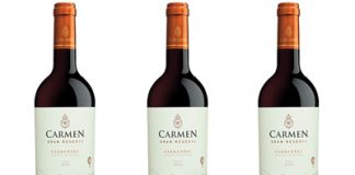 Carmen Wines Celebrates 20th Anniversary